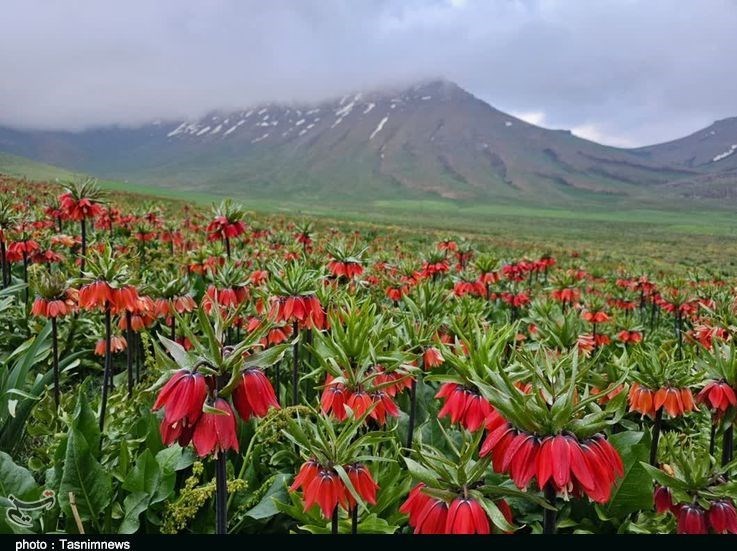 استان لورستان ، میراث فرهنگی و گردشگری ، گردشگری ، وزارت میراث فرهنگی ، گردشگری و صنایع دستی ، 