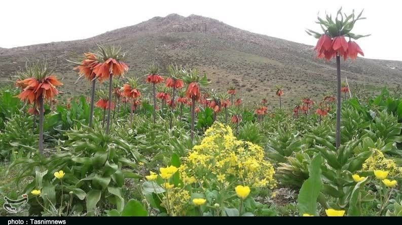 استان لورستان ، میراث فرهنگی و گردشگری ، گردشگری ، وزارت میراث فرهنگی ، گردشگری و صنایع دستی ، 