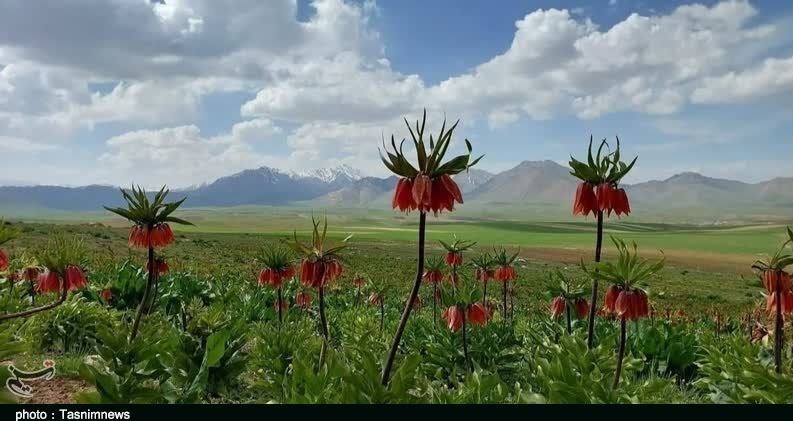 استان لورستان ، میراث فرهنگی و گردشگری ، گردشگری ، وزارت میراث فرهنگی ، گردشگری و صنایع دستی ، 