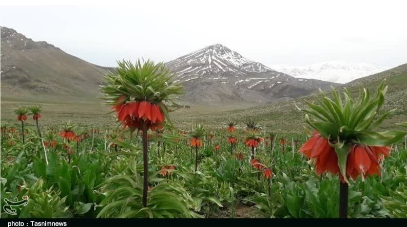 استان لورستان ، میراث فرهنگی و گردشگری ، گردشگری ، وزارت میراث فرهنگی ، گردشگری و صنایع دستی ، 