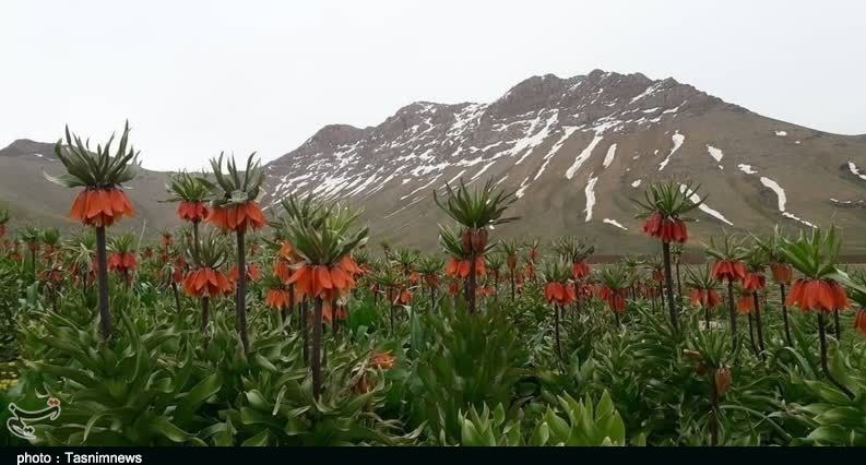 استان لورستان ، میراث فرهنگی و گردشگری ، گردشگری ، وزارت میراث فرهنگی ، گردشگری و صنایع دستی ، 