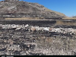 استان لورستان ، Poldokhtar ، Forest and Heareland ،