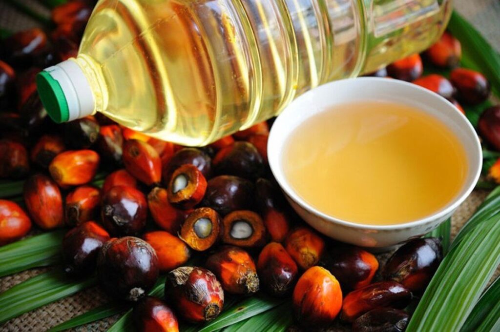 آغاز ثبت‌سفارش روغن خام و پالم از فردا