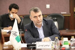 صدور ضمانت‌نامه‌های دولتی اقدامی مؤثر در صادرات است