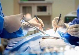 25000 بیمار در صف پیوند عضو/سالی6000 عضو قابل اهدا خاک میشود