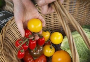 تورم مواد غذایی انگلیس رکورد 15 ماه گذشته را زد