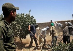 جزئیات جدید از سقوط 8 نفر به چاه در کوهدشت/ 7 نفر فوت شدند