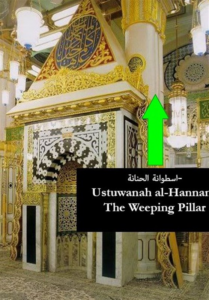 &quot;حنانه&quot;؛ درختی که در فراق پیامبر شیون کرد