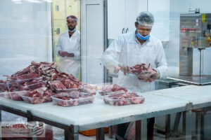 پایان واردات اجاره / گوشت قرمز گران است؟