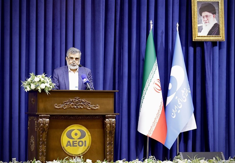 کمالوندی: براساس ان‌پی‌تی حق استفاده از فناوری هسته‌ای داریم