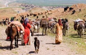 ایل‌راه‌ها سرمایه ملی و عشایر حافظان منابع طبیعی