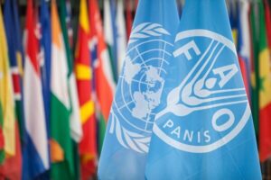 ایران پنجم آسیا در تولید لبنیات و رتبه اول صادرات