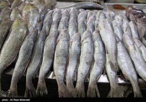 پیشرفت 60 درصدی بازارچه ماهی خرم‌آباد؛ فاز دوم در مسیر توسعه