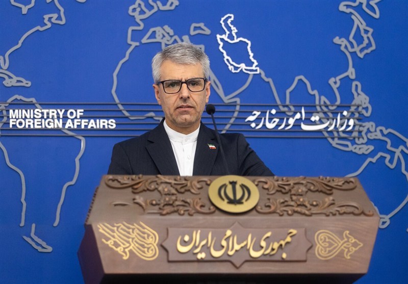 بقائی: ایران در برابر زور و فریب ایستادگی دارد