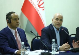 مجالس بریکس منشور مقابله با تحریم‌های غیرقانونی تدوین کنند