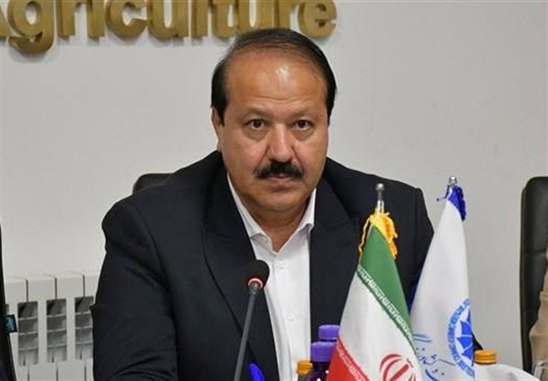 بخش خصوصی برای حفظ پایداری اقتصاد، در میدان حضور دارد