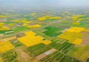 ÙØµÙÙ 22 ÙÛÙÛØ§Ø±Ø¯ Ø±ÛØ§Ù Ø¹ÙØ§ÛØ¯ Ø§Ø±Ø§Ø¶Û ÙØ§Ú¯Ø°Ø§Ø±Û Ø¯Ø± Ø³ÛØ³ØªØ§Ù ÙØ¨ÙÙÚØ³ØªØ§Ù
