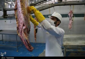 نکات بهداشتی ذبح دام در عیدقربان/گوشت دام را تا24ساعت نخورید