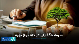 سرمایه گذاران در نرخ بهره