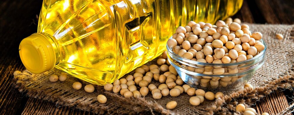 روغن سویا؛ کالایی کلیدی در تجارت جهانی| برآورد ارزش ۲۵.۸میلیارد دلاری بازارجهانی روغن سویا