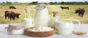 مصوبه‌ای در خصوص افزایش قیمت لبنیات نداشتیم