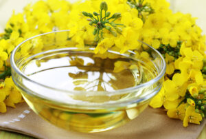 ارزش بازار جهانی روغن کانولا تا پایان ۲۰۲۵ از ۴۵۷میلیون دلار فراتر می رود