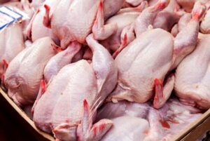 فروش جهانی مرغ تازه صادراتی به ۹.۹ میلیارد دلار رسید| نام ایران در بین ده کشور تولید کننده