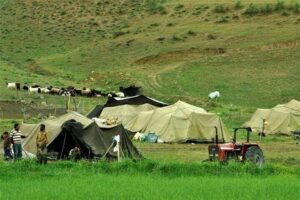 بیمه رایگان زنان سرپرست خانوار عشایر و روستایی
