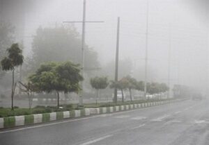 ثبت رطوبت 93 درصدی در بندر بوشهر