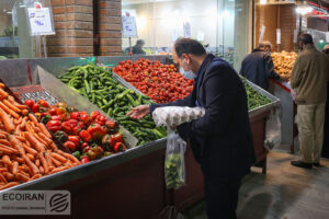 ایجاد سه هزار روستا- بازار در کشور ؛ راه اندازی میدان بزرگ کشاورزی مرکزی در تهران