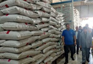 واکاوی گرانی برنج/ فشار برخی نمایندگان برای توقف واردات