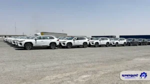 بزرگترین محموله خودروهای جانبازی ترخیص شد
