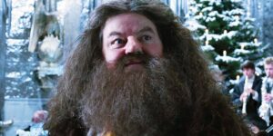 سریال harry potter