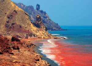 جزایر خلیج فارس مجوز دارند