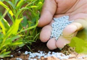 ÙØ¹Ø§ÙÛØª 3600 Ú©Ø§Ø±Ú¯Ø²Ø§Ø± ØªÙØ²ÛØ¹ Ú©ÙØ¯ Ø´ÛÙÛØ§ÛÛ Ú©Ø´Ø§ÙØ±Ø²Û Ø¯Ø± Ú©Ø´ÙØ±