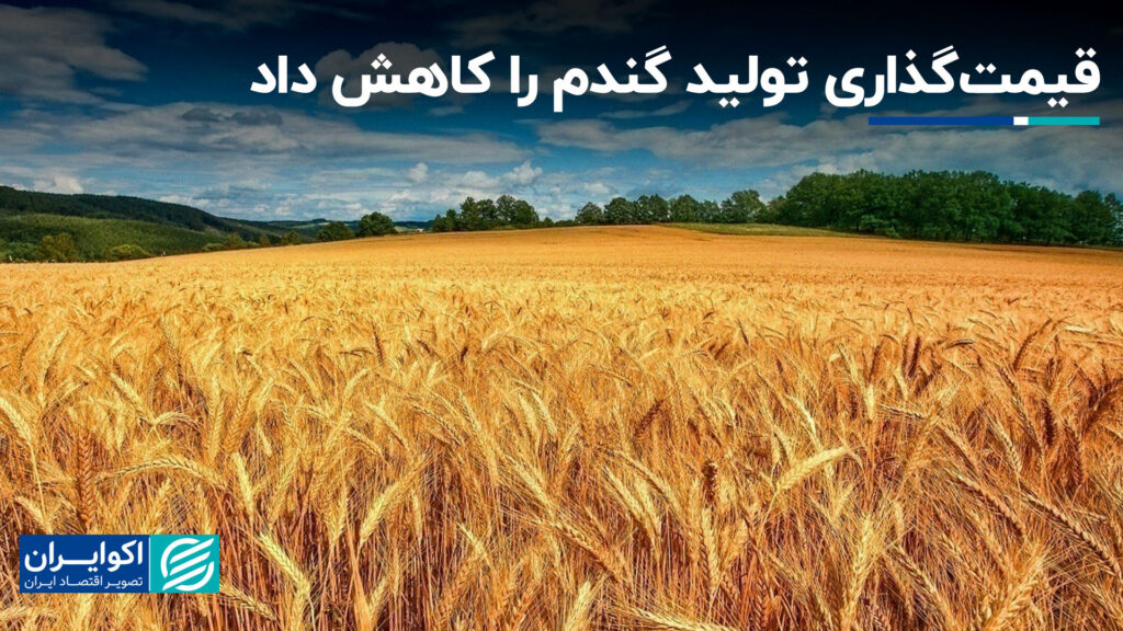 قیمت گندم کاهش یافته