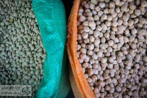 وابستگی 2 ٪ بازار لوبیا به واردات