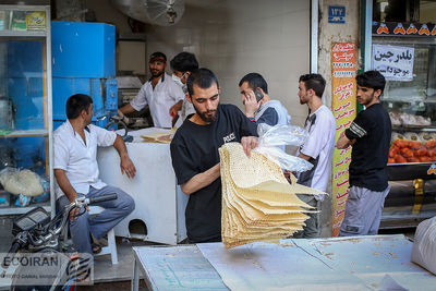 نیاز جدید برای نانوایی ها