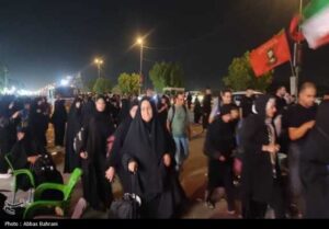 زائران بوشر در کربلا/ از اشکهای عاشقانه گرفته تا سرویس ناخواسته + تصاویر