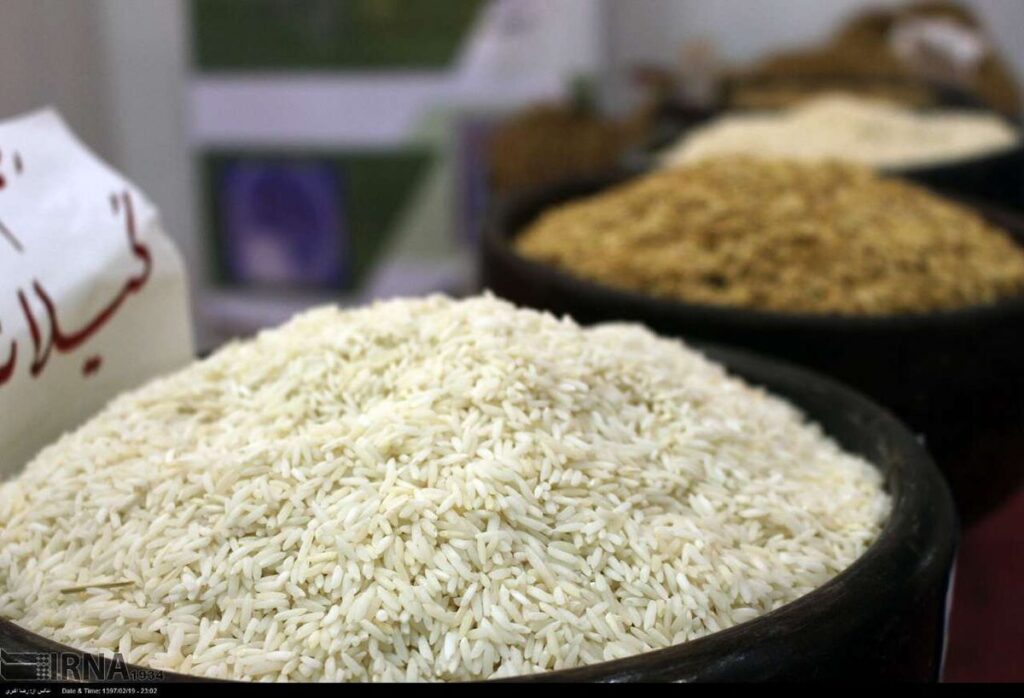 واردات ۵۰۰ هزار تن برنج خارجی به کشور تا نیمه مرداد