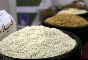 واردات ۵۰۰ هزار تن برنج خارجی به کشور تا نیمه مرداد