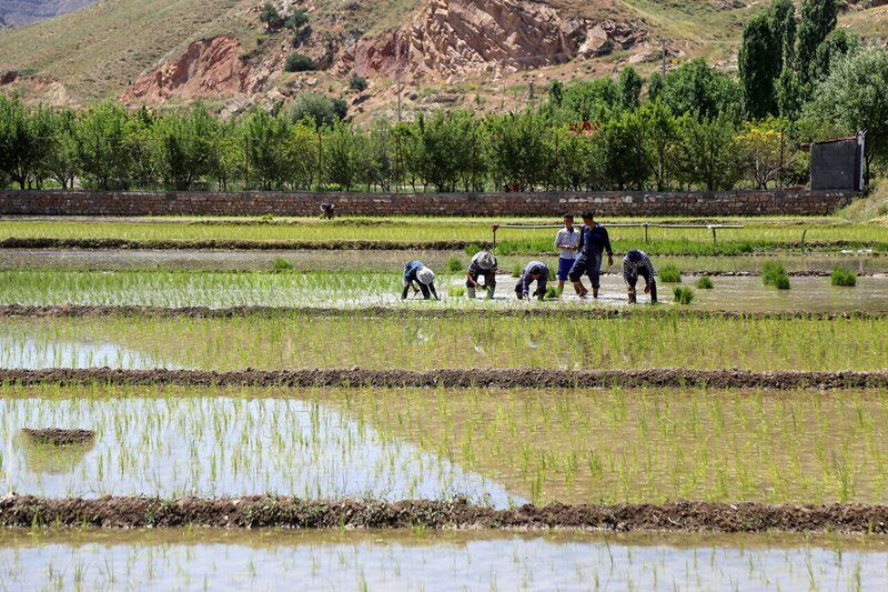آیا وزارت جهاد متولی بهتری برای حوزه آب است؟