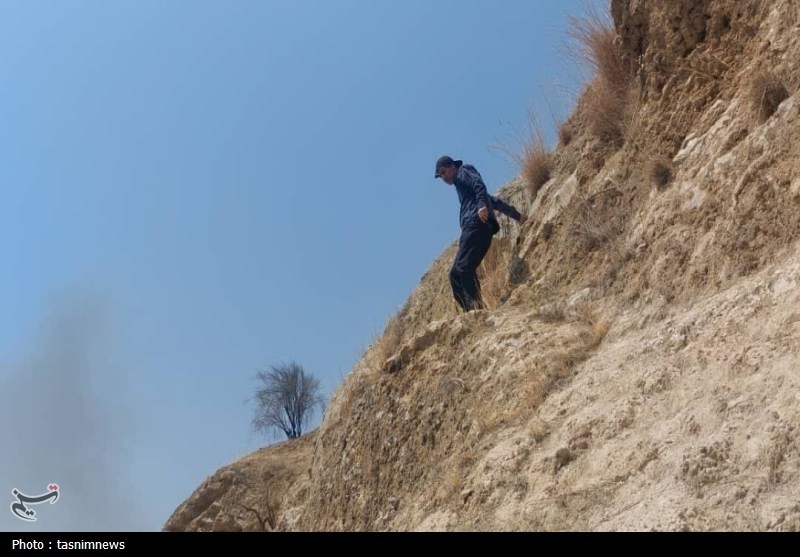 جنگل ، آتش جنگل ها و مراتع ، 