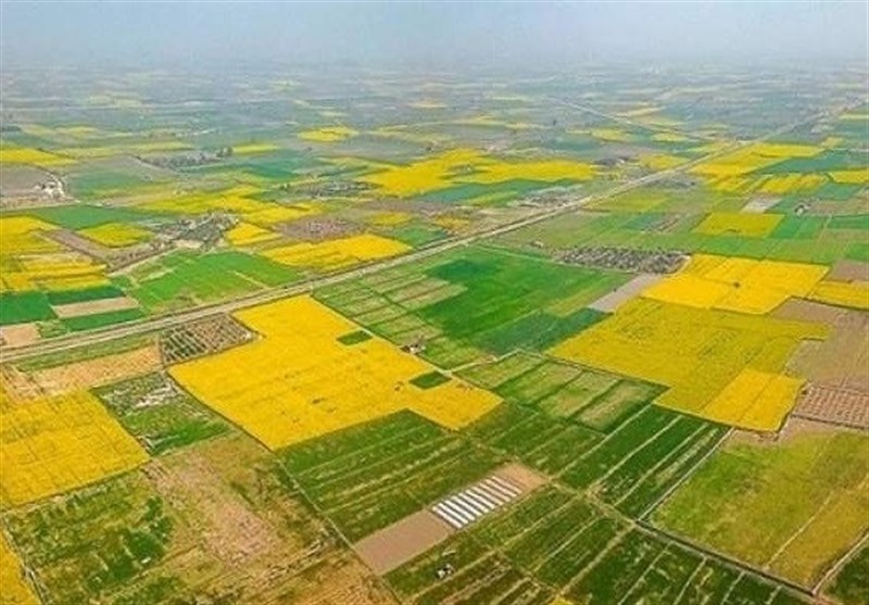 مدیران