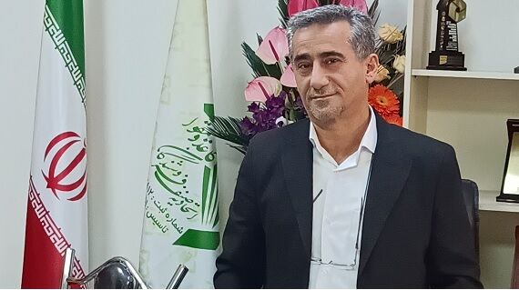 متاسفانه در تولید کاغذ سرمایه‌گذاری نکردیم