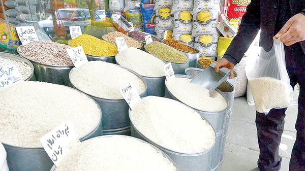 تسلط هند در تجارت جهانی برنج| عربستان، ایران و عراق؛ وارد کنندگان اصلی برنج باسماتی هند