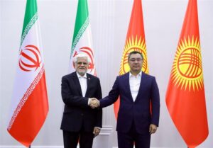 عارف:همبستگی کشورهای منطقه به بالارفتن ضریب امنیت کمک می کند