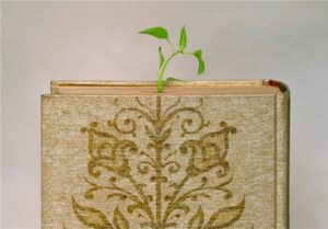 علامه مجلسی؛ الگویی زنده برای حوزه امروز و آینده تشیع