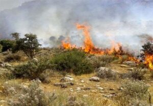 شناسایی عاملان آتش‌سوزی عمدی جنگل‌های بانه