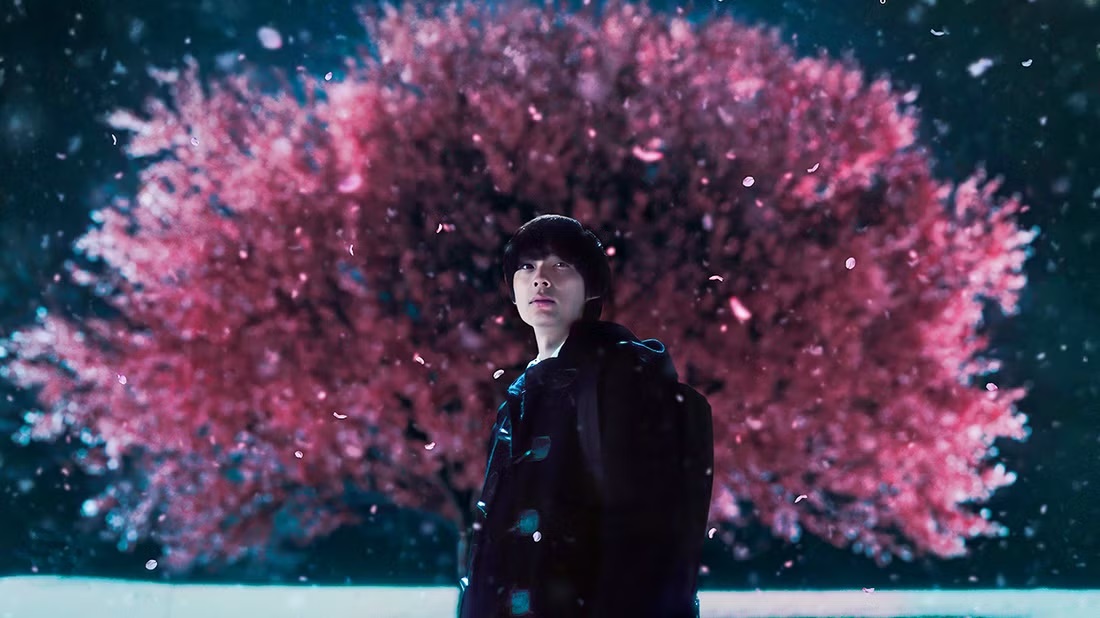 5centimeters per second